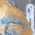 vase / wi20-082